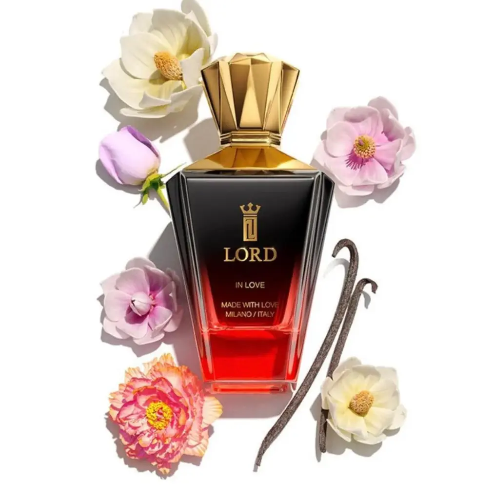 WhatsApp Image 2025-11-18 at 18.21.46_f5b27836.webp