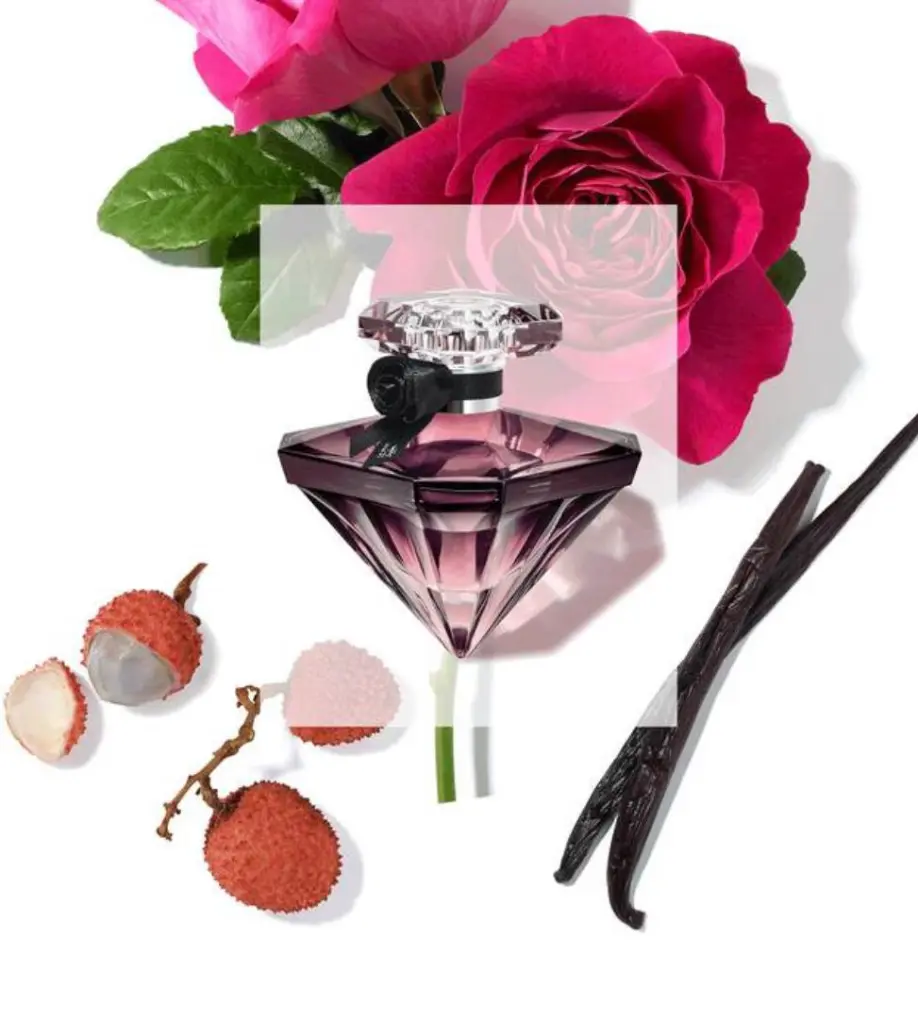 WhatsApp Image 2025-11-22 at 15.30.08_63a444c9.webp