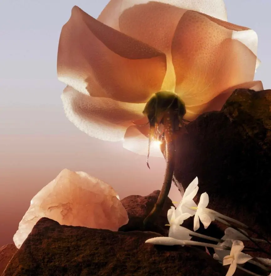 WhatsApp Image 2025-11-22 at 15.41.59_e27055cd.webp