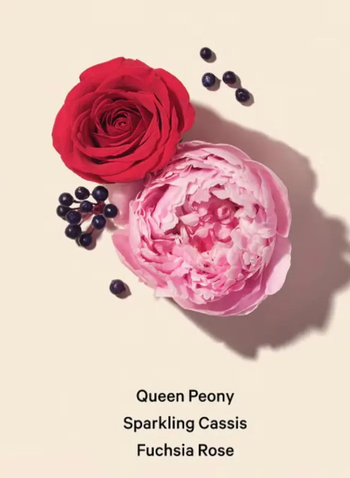 WhatsApp Image 2025-11-22 at 18.39.44_0eae1843.webp