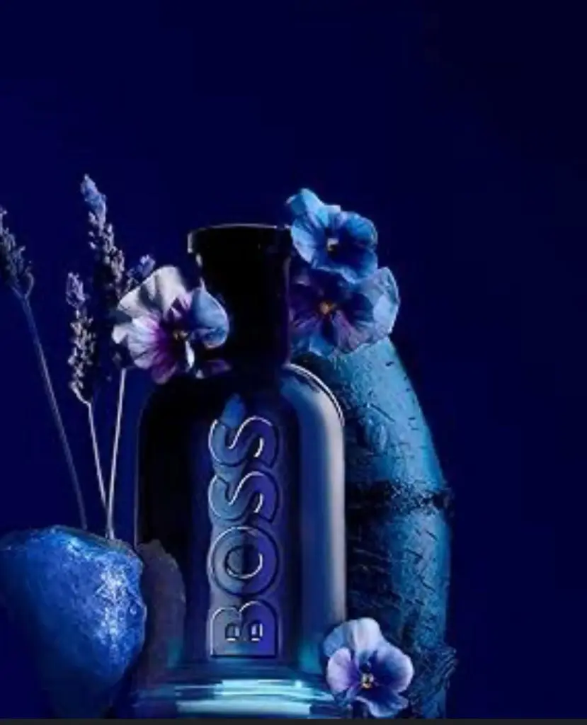 WhatsApp Image 2025-11-22 at 22.39.37_232bacda.webp