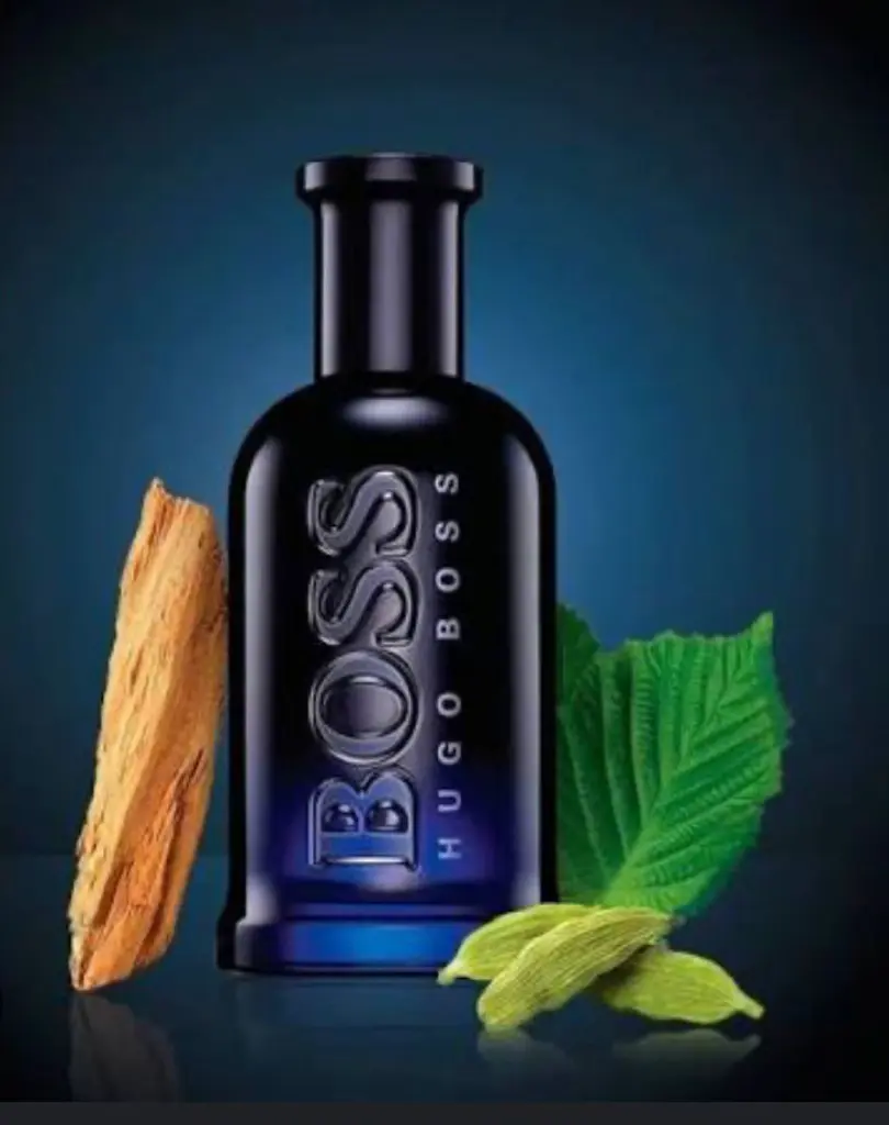 WhatsApp Image 2025-11-22 at 22.39.38_7361a94f.webp