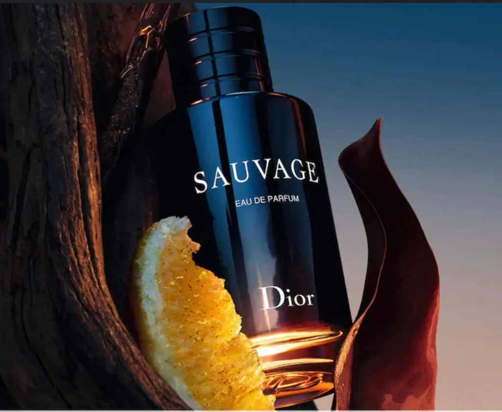 WhatsApp Image 2025-11-23 at 14.09.02_61776c98.webp