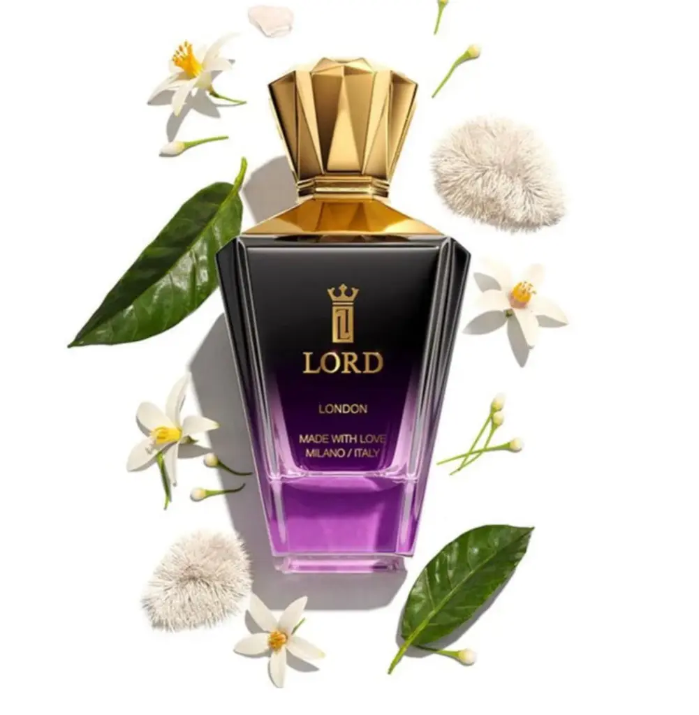 WhatsApp Image 2025-11-18 at 18.25.08_a4ca5115.webp