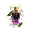 WhatsApp Image 2025-12-07 at 18.24.25_0c1f730d.jpg