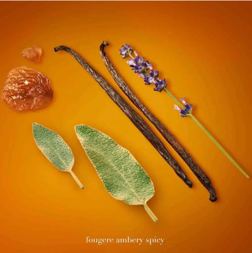 WhatsApp Image 2025-11-19 at 14.13.26_79898d4f.webp