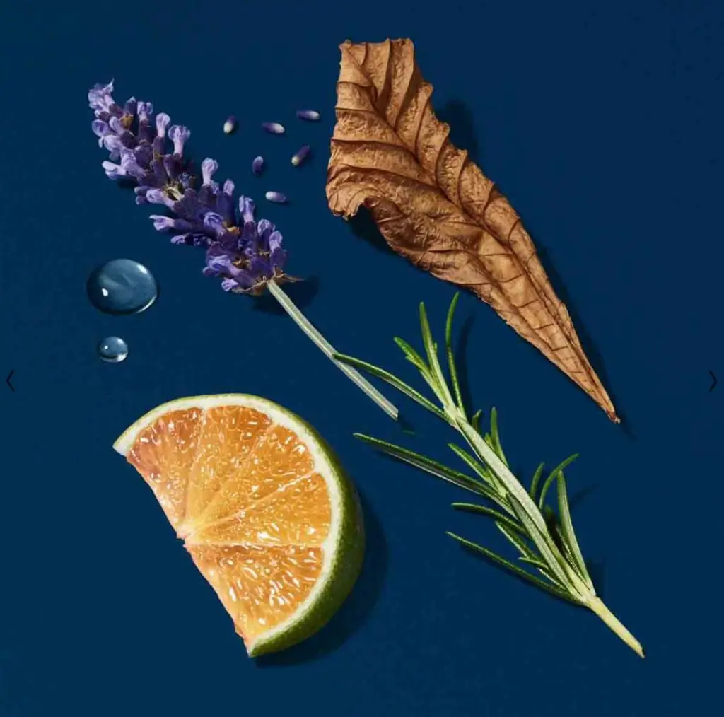 WhatsApp Image 2025-11-19 at 14.34.05_9833b0e5.webp