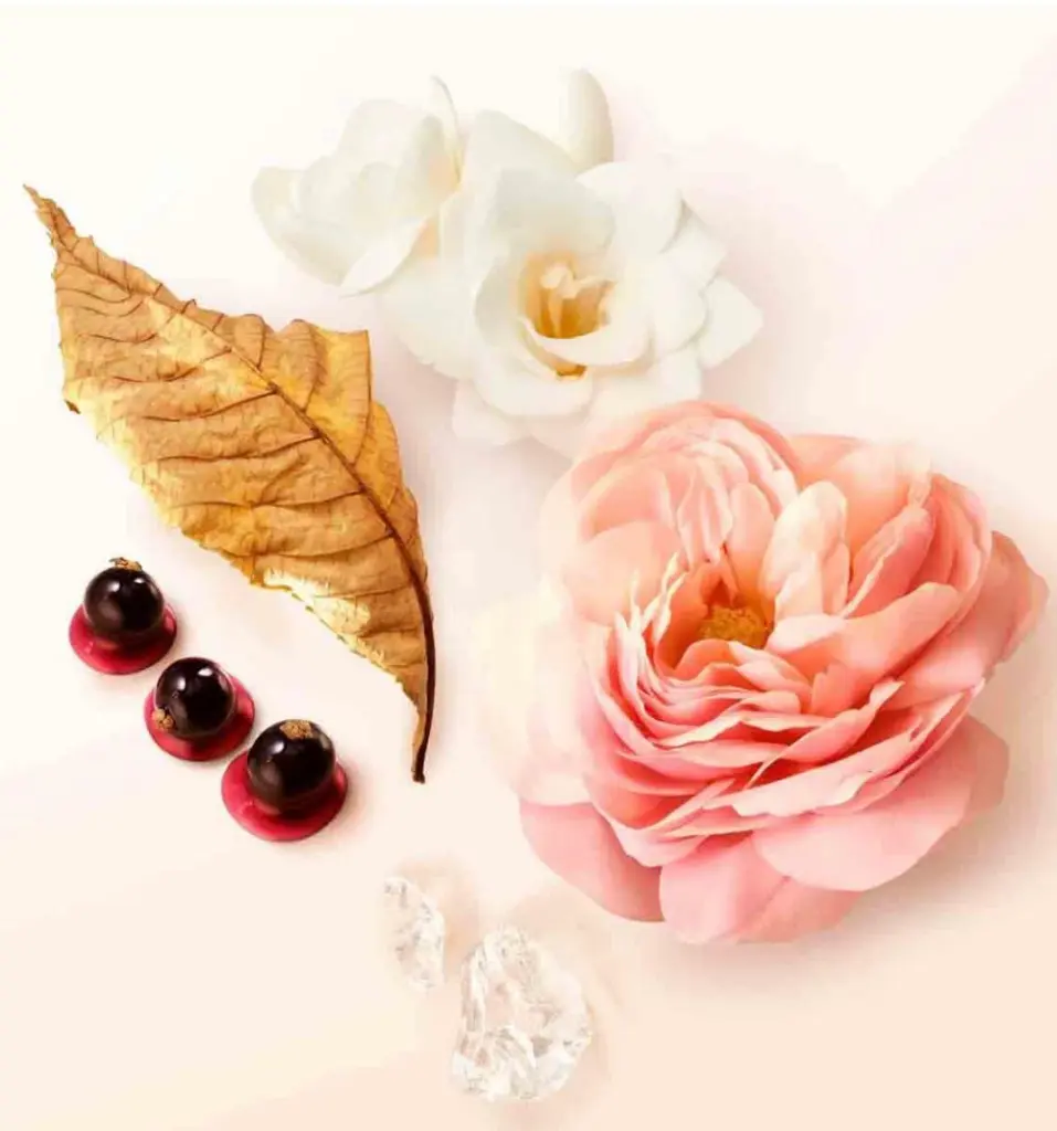 WhatsApp Image 2025-11-19 at 14.36.45_4e13638f.webp