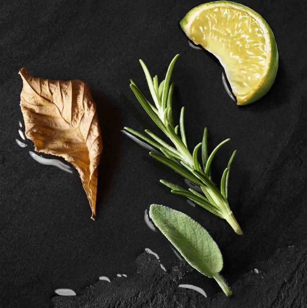 WhatsApp Image 2025-11-19 at 15.40.57_37605d86.webp