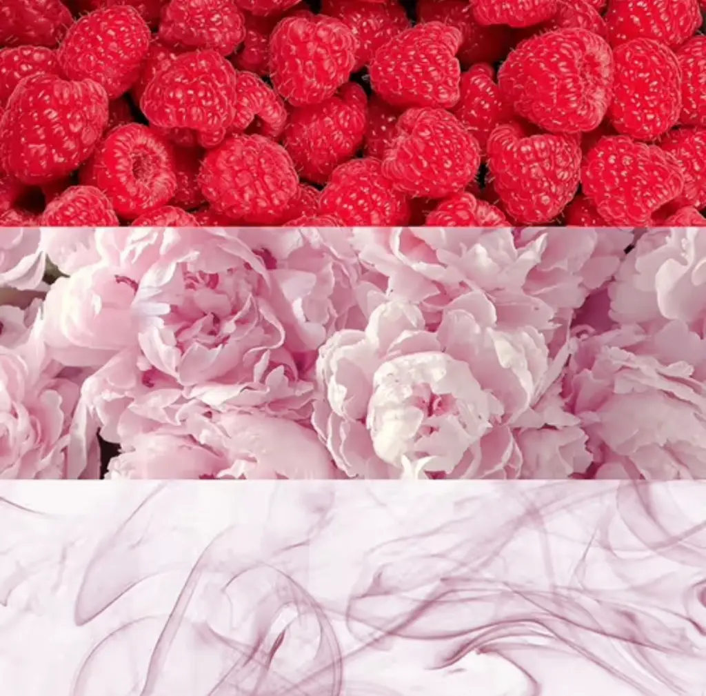 WhatsApp Image 2025-11-19 at 18.48.15_1491c7d9.webp