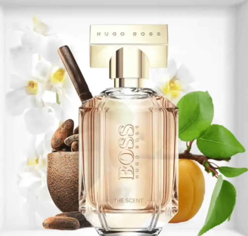 WhatsApp Image 2025-11-19 at 19.27.39_2d34a091.webp