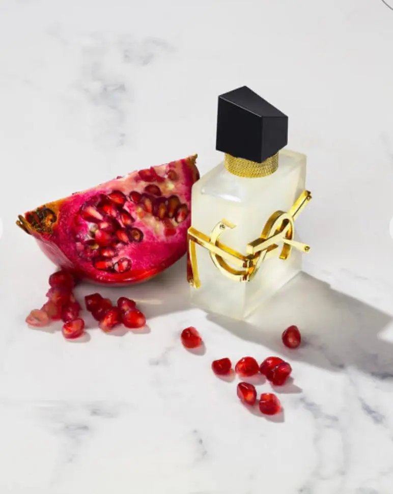 WhatsApp Image 2025-11-20 at 13.49.10_b5a1b210.webp