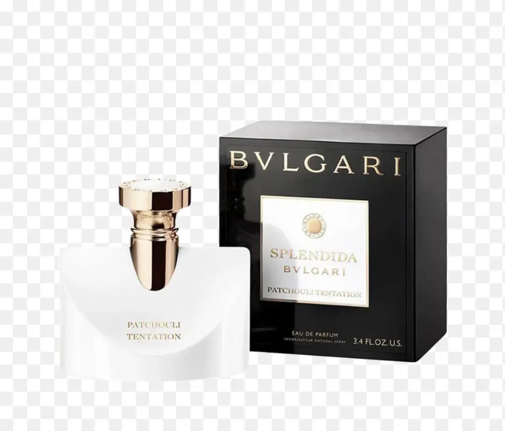 WhatsApp Image 2025-11-20 at 14.34.06_c020a4c6.webp