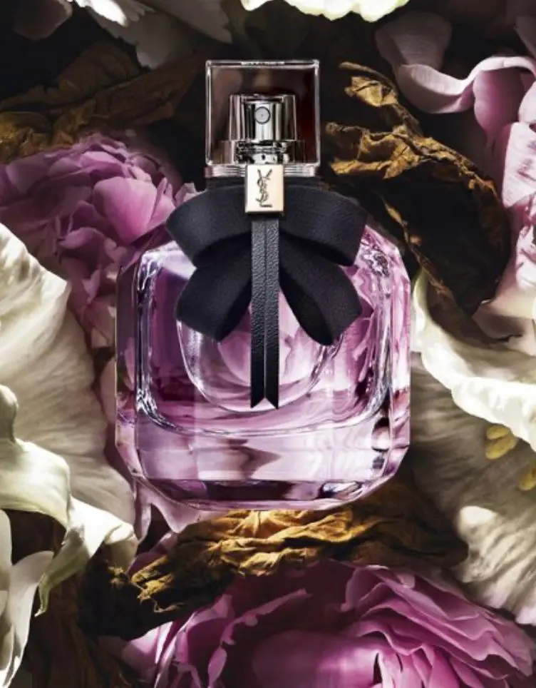 WhatsApp Image 2025-11-20 at 16.24.13_a8c33c0c.webp