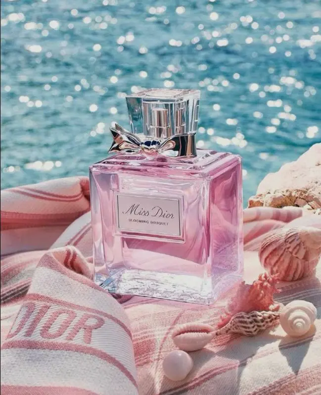 WhatsApp Image 2025-11-20 at 18.33.33_de838db4.webp