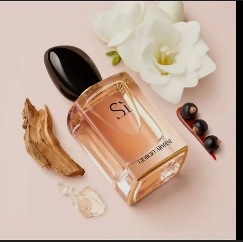 WhatsApp Image 2025-11-20 at 18.39.16_c50a1200.webp