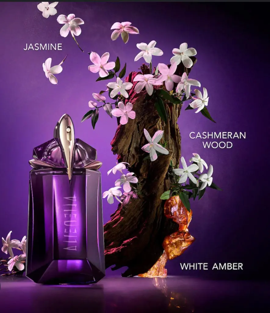 WhatsApp Image 2025-11-20 at 18.42.12_607b7b51.webp