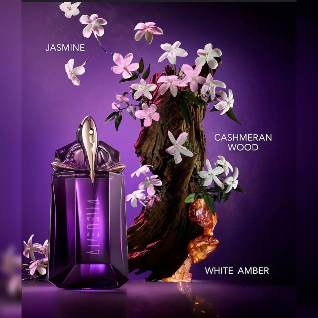 WhatsApp Image 2025-12-05 at 13.20.34_70fa64ef.jpg