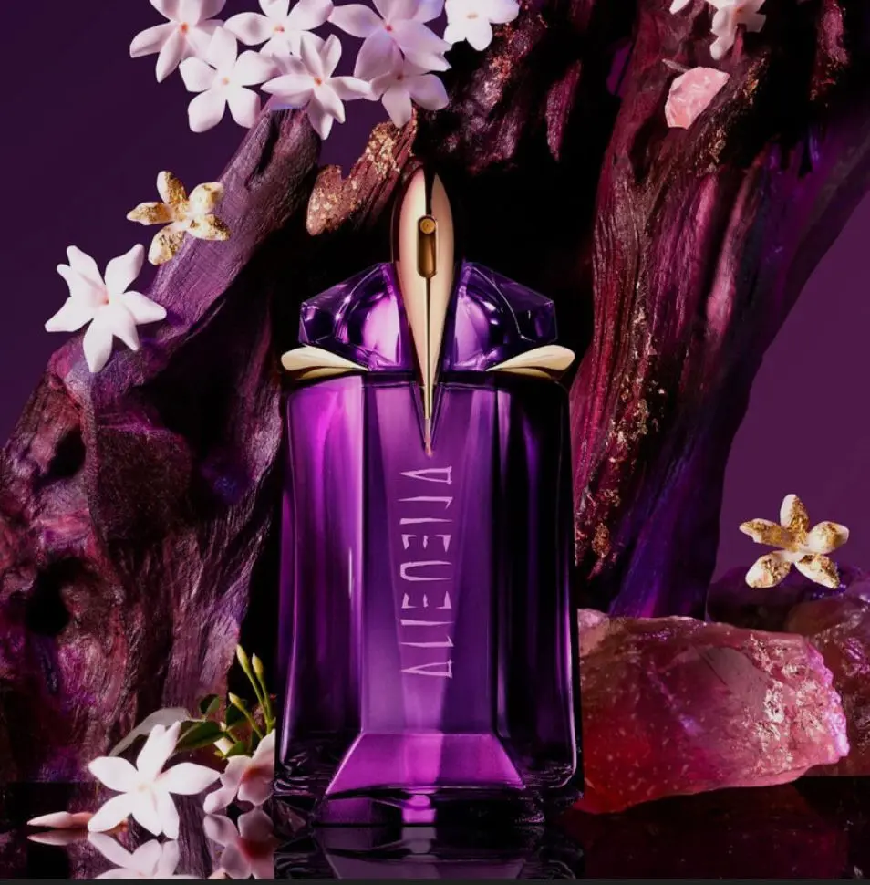 WhatsApp Image 2025-11-20 at 18.42.13_1fa64868.webp