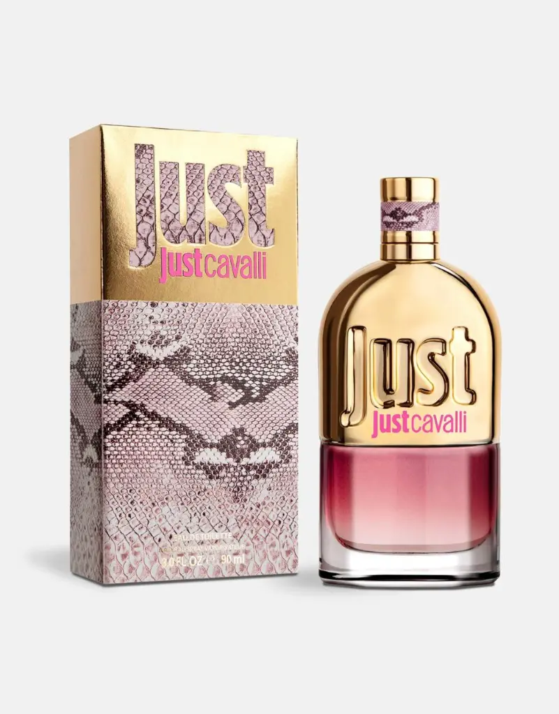 WhatsApp Image 2025-11-20 at 20.43.42_fd72a434.webp